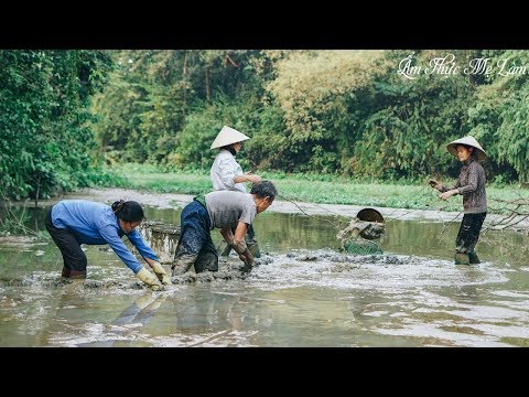 Video Một buổi chiều tát cá đồng làm món cá kho khế chua (... - youtube
