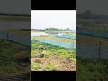 সত্যি জীবন ক্ষণিকের #ytshorts