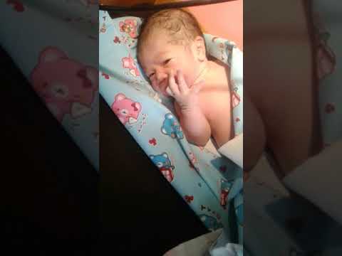 Bayi Baru Lahirlucuimutgemesin Youtube