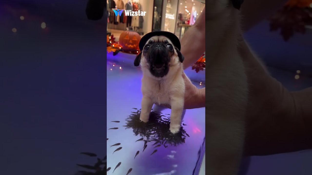 Lucas booked a fish spa… but wasn’t ready for the tiny tickles! 🐟🫧👻
