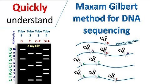 Maxam Gilbert sequencing