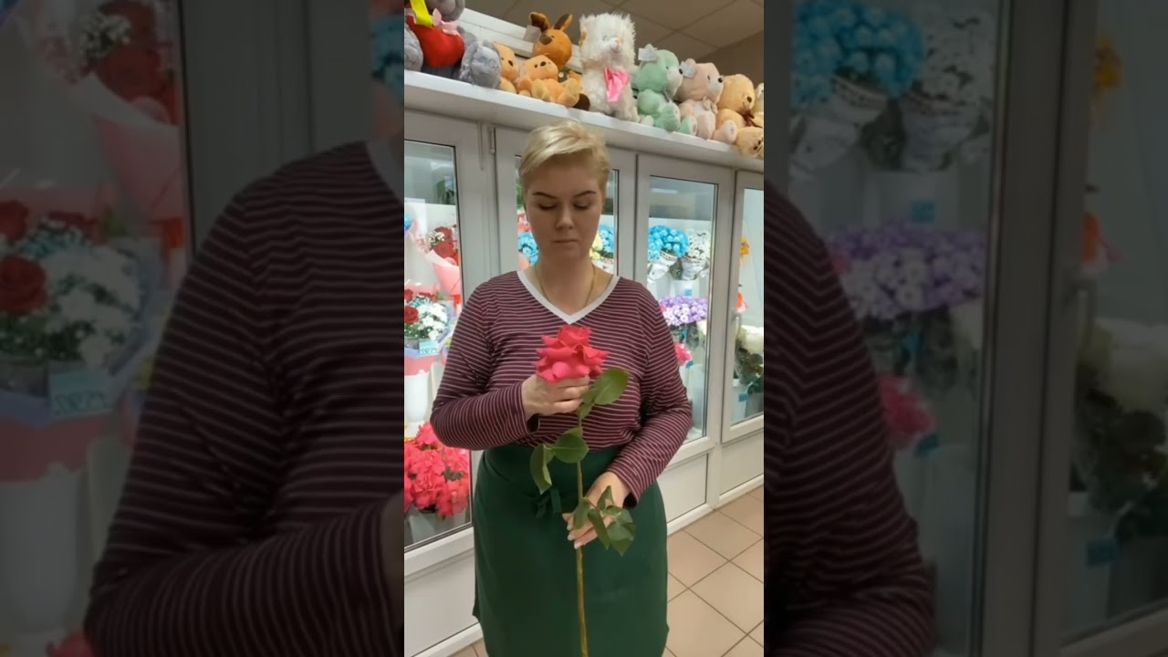 Если мне обрежут крылья, пересяду на метлу. 🧚‍♀️