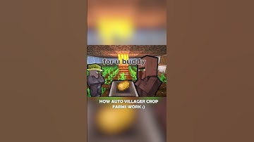 How Auto Villager Crop Farms Work :)