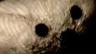 4 games in 1 video (the fourth game is a unexpected game) screenshot 1