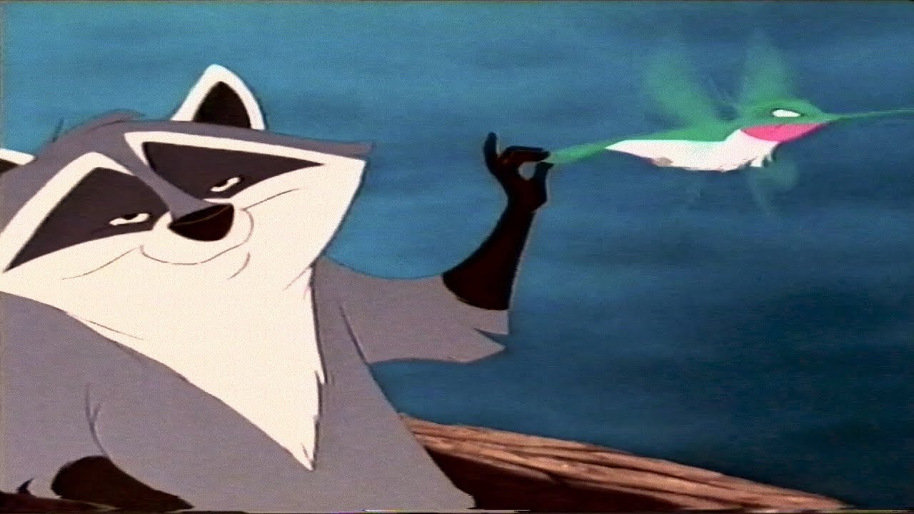 Pocahontas Meeko (1995) (VHS Capture) (Filters) (2) YouTube