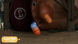insect killer animation compilation larva tuba official