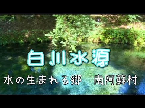 【阿蘇】水の生まれる郷　南阿蘇村　白川水源　湧水地の美しさは圧巻