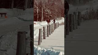 “Fearless Skating at High Speed”#shortsvideo #horse