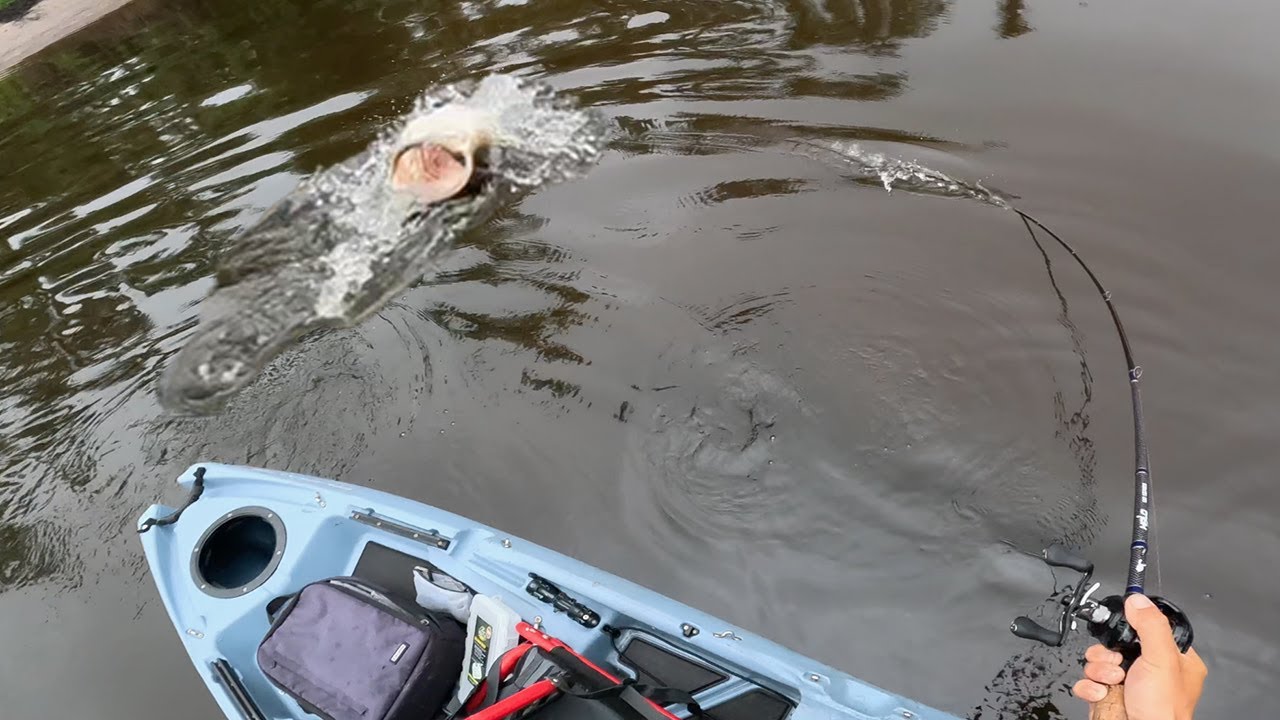 Fishing for Bass AND Snook in the Same Water?!