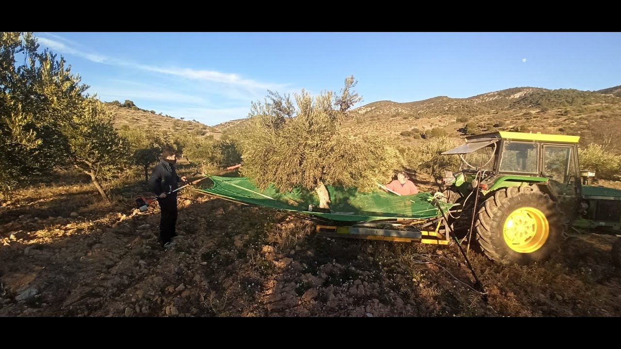 Paraguas manual aceitunas, almendras y pistachos. Cajón ABM -