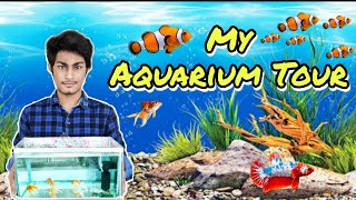 My Aquarium Tour : Aquarium Fish & Live plants by Aquarium World Telugu