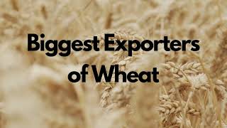 Top 10 Wheat Exporting Countries in the World | Wheat Exporting Countries