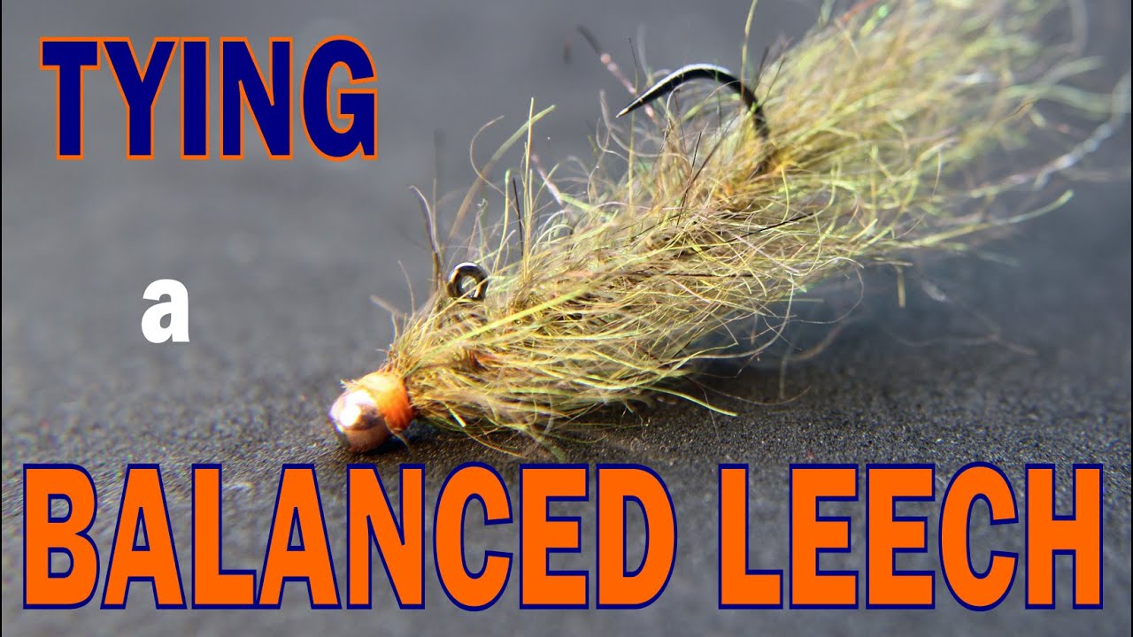 BALANCED LEECH FLY TYING YouTube