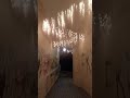 LAS LEUCHTEN - auch in Kammer feuchten !