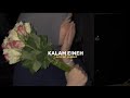 Sherine - Kalam Eineh | شيرين - كلام عين ( slowed reverb )