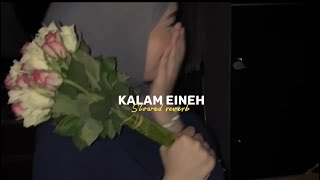 Sherine - Kalam Eineh | شيرين - كلام عين ( slowed reverb ) screenshot 1