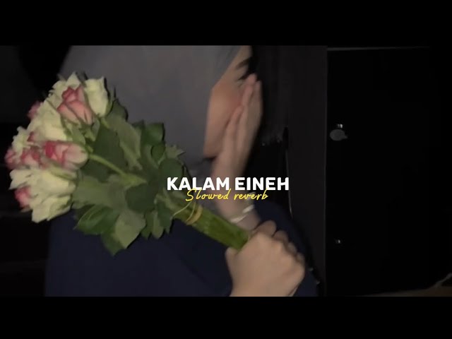Sherine - Kalam Eineh | شيرين - كلام عين ( slowed reverb ) class=