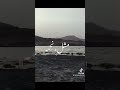 والهوي قسمه ونصيب والهوي قسمه ونصيب
