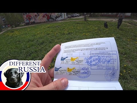 Video: How To Get A Labor Veteran In The Moscow Region