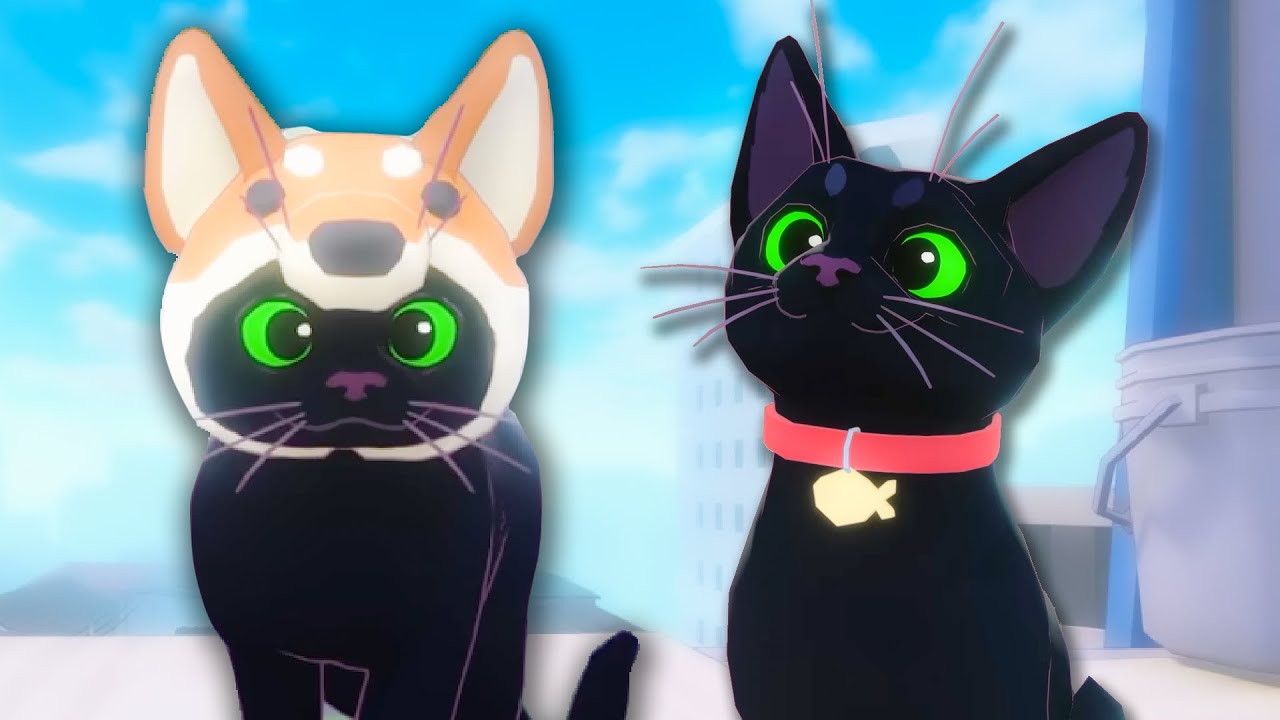 This Video Will Make You Awwwwwww