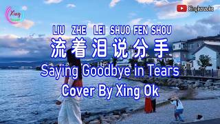 Breaking Up While Crying Liu Zhe Lei Shuo Fen Shou | Mandarin Song Cover