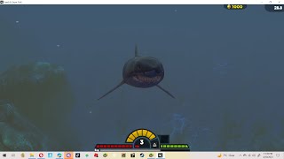 I got the great white shark | Feed and grow fish