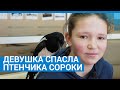 Ярославль: девушка спасла и приютила птенчика сороки