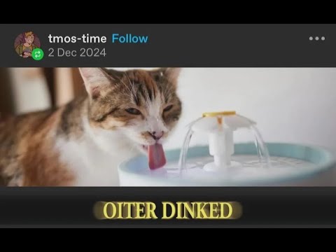 Who up dinking they oiter? #dinkers