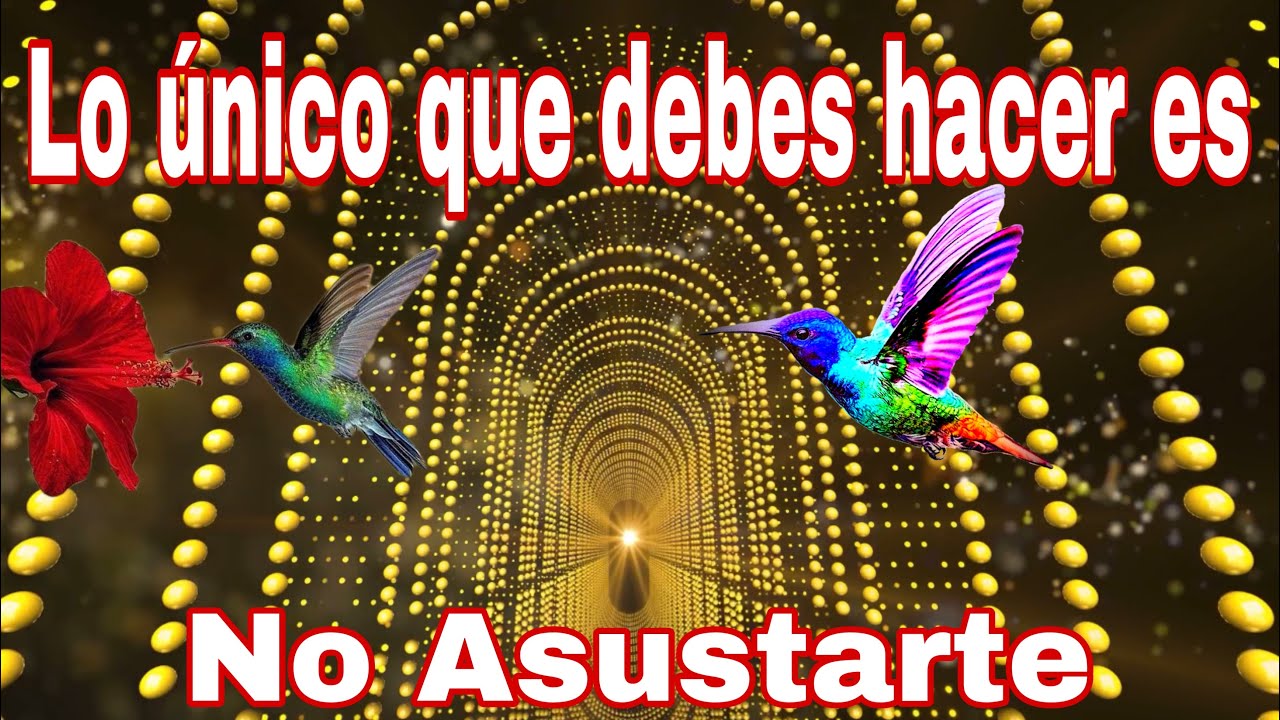 Te llegara dinero de todas partes ACTIVA El colibrí de la Abundancia ...