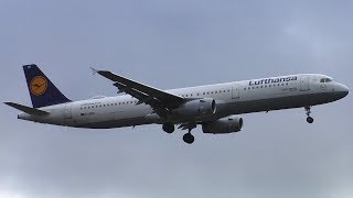 Lufthansa Airbus A321-231 D-Aidb Bayreuth Landing Berlin Tegel Airport
