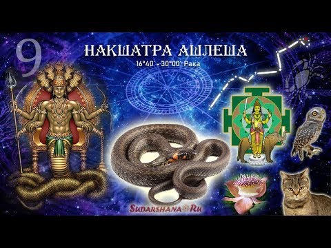 Ведическая Астрология Тушкин