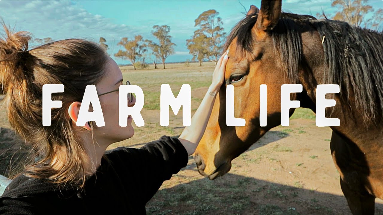 Farm Life in Australia