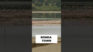 Gorgeous Ronda in Southern Spain! #shorts #natureshorts