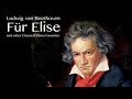 Für Elise Ludwig van Beethoven 