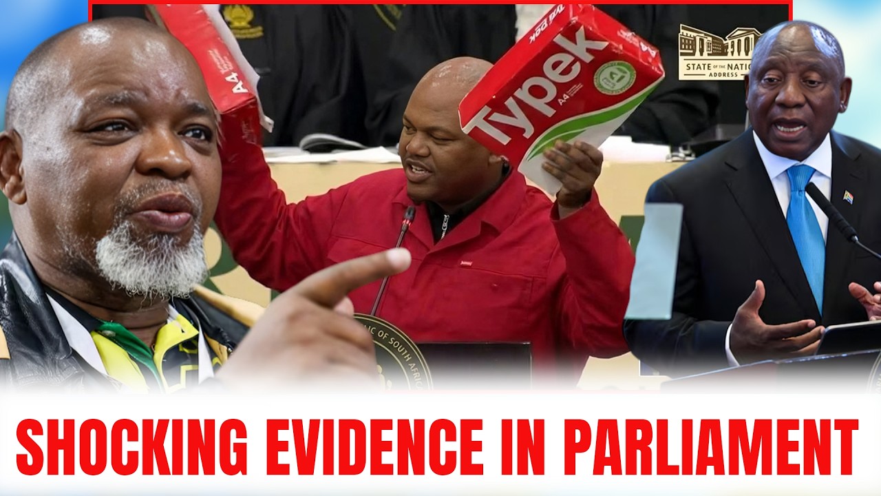 Сихле Лонзи представил в парламенте резюме молодых людей | «Прекратите называть нас ленивыми» | К...