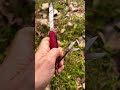 #victorinox #compact #travel #EDC# #memes #цитаты
