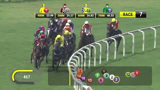 Vidéo de la course PMU CONFLIGHT 2016 STAKES