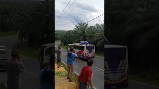 Viral, Truk Tangki Pertamina vs Bus PT Putra Simas | War Telolet di Tanjakan Bukit Kodok #feedshorts