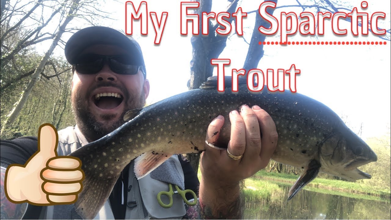 My First Sparctic Trout Rockbourne Trout Fishery YouTube