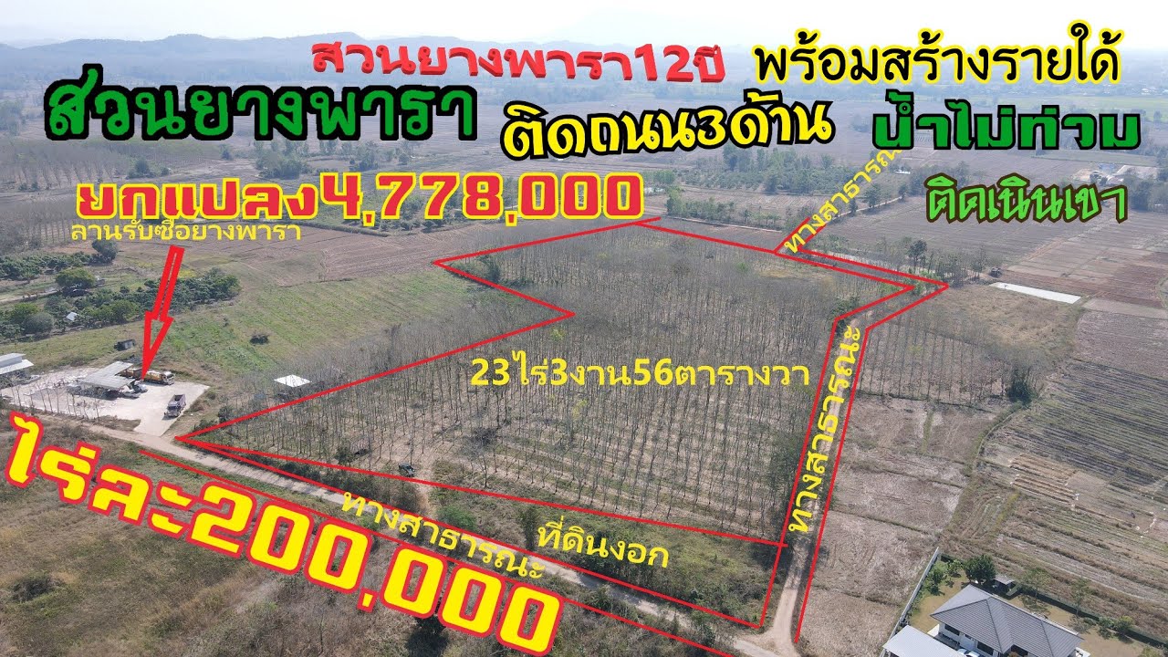 EP729ขายที่ดินพร้อมสวนยางอยู่บนเนินเขาเนื้อที่23ไร่3งาน56ตารางวาขายไร่ละ200.000