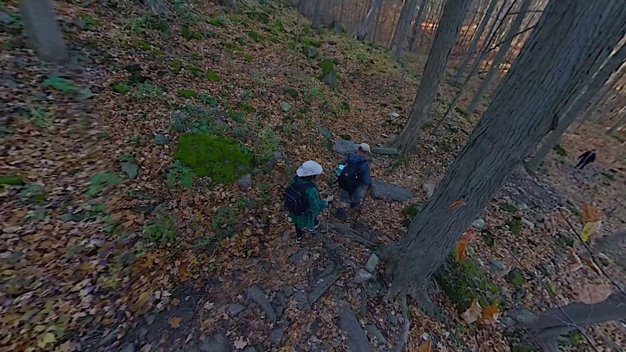 Chedoke Radial Trail, Hamilton hike - YouTube