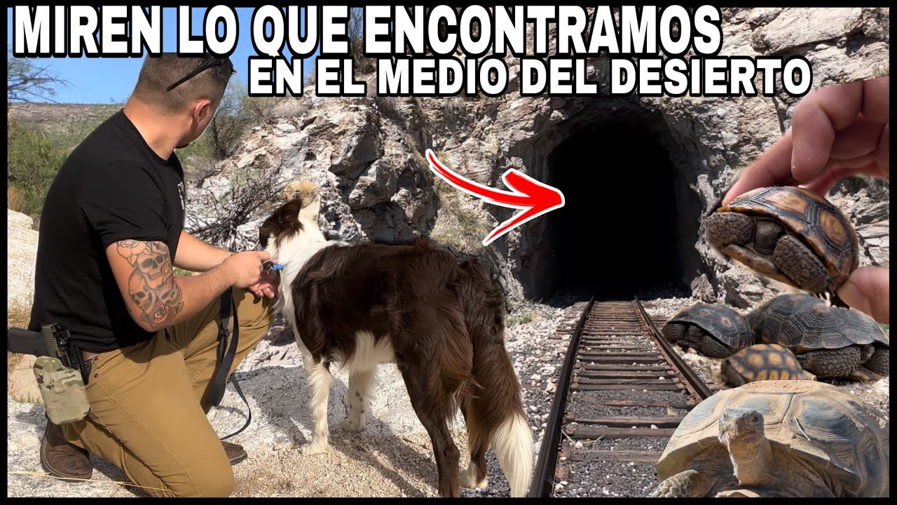 El Regreso De Kiko Después De Su Accidente