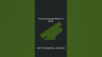 💰 The Surprising Rise in Net Worth After a $100K Investment! 📈