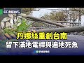 颱風丹娜絲影響