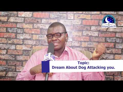 Video: Why Do Dogs Dream About Biting