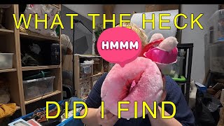 WHAT THE HECK DID I FIND AT THE CARBOOT