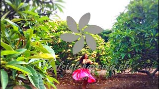 Lovely `Ala Melia - Hula May. 2021 Lovely `Ala Melia - Hula May. 2021