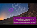 Призм карабкается на достойный уровень поможем ему,купи Prizm