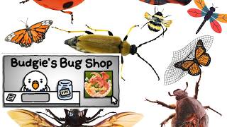 A Short Incremental Game About Catching Bugs- Budgie's Bug Shop - Full Game 100 % Achievement's