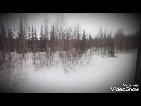северный полярный круг